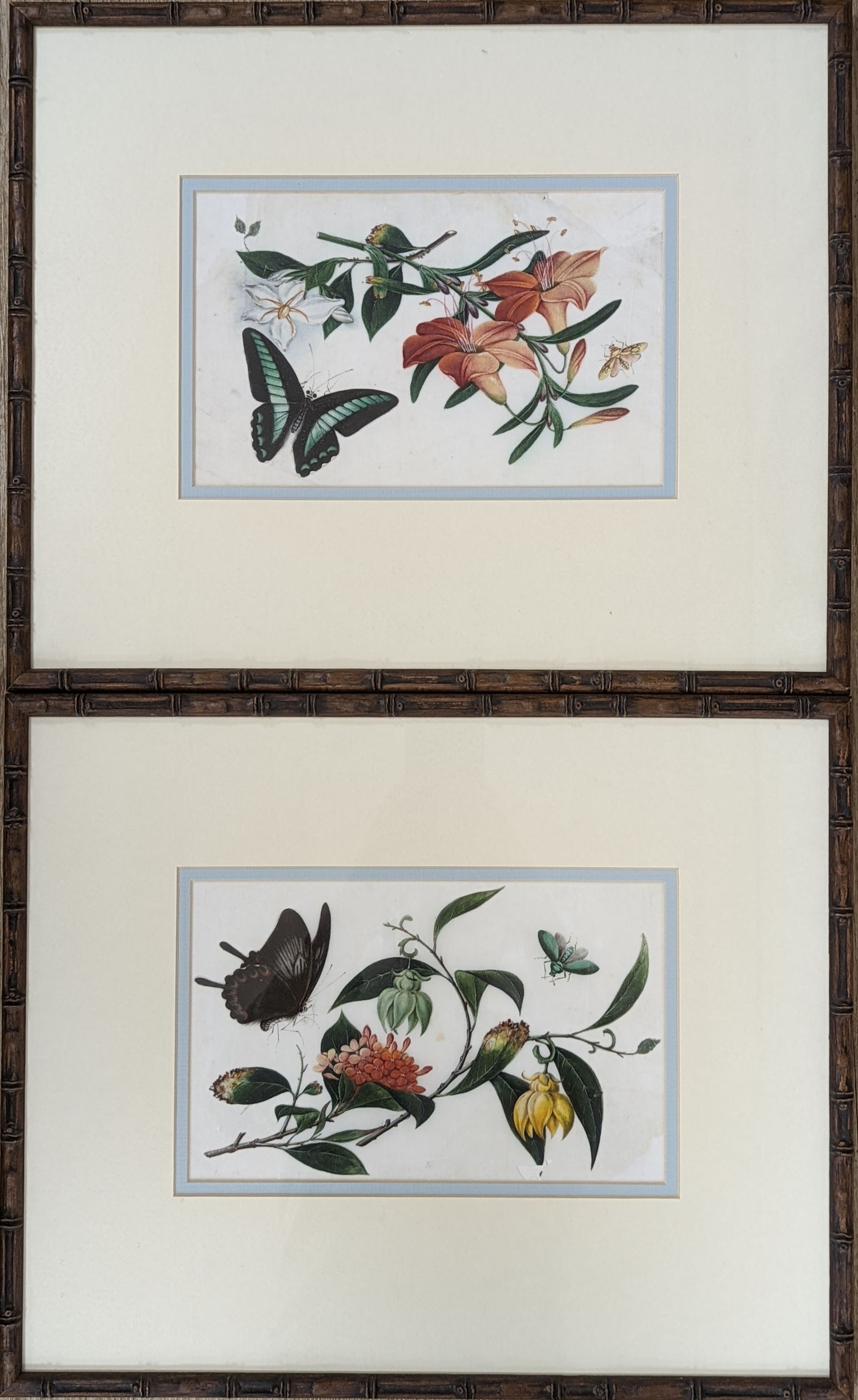 19th century Chinese School, pair of gouache on pith paper, Studies of butterflies and flowers, 14 x 23cm